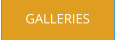 GALLERIES